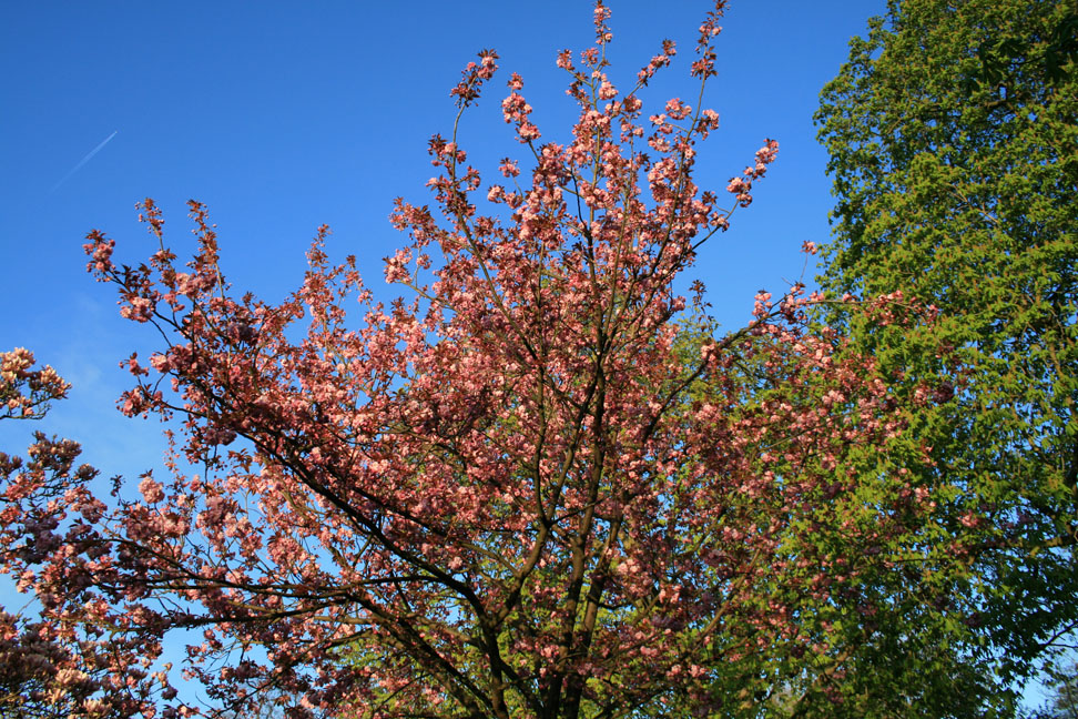 Frühling....