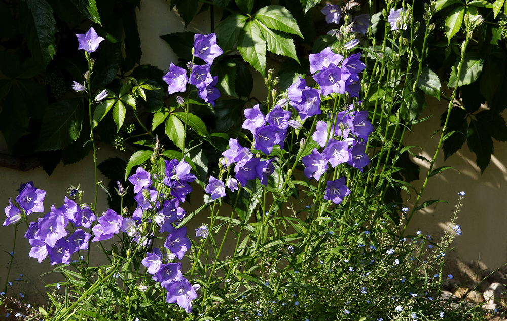 ...Frühling