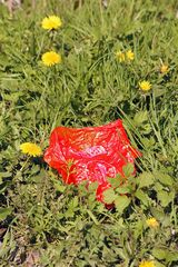 Frühling
