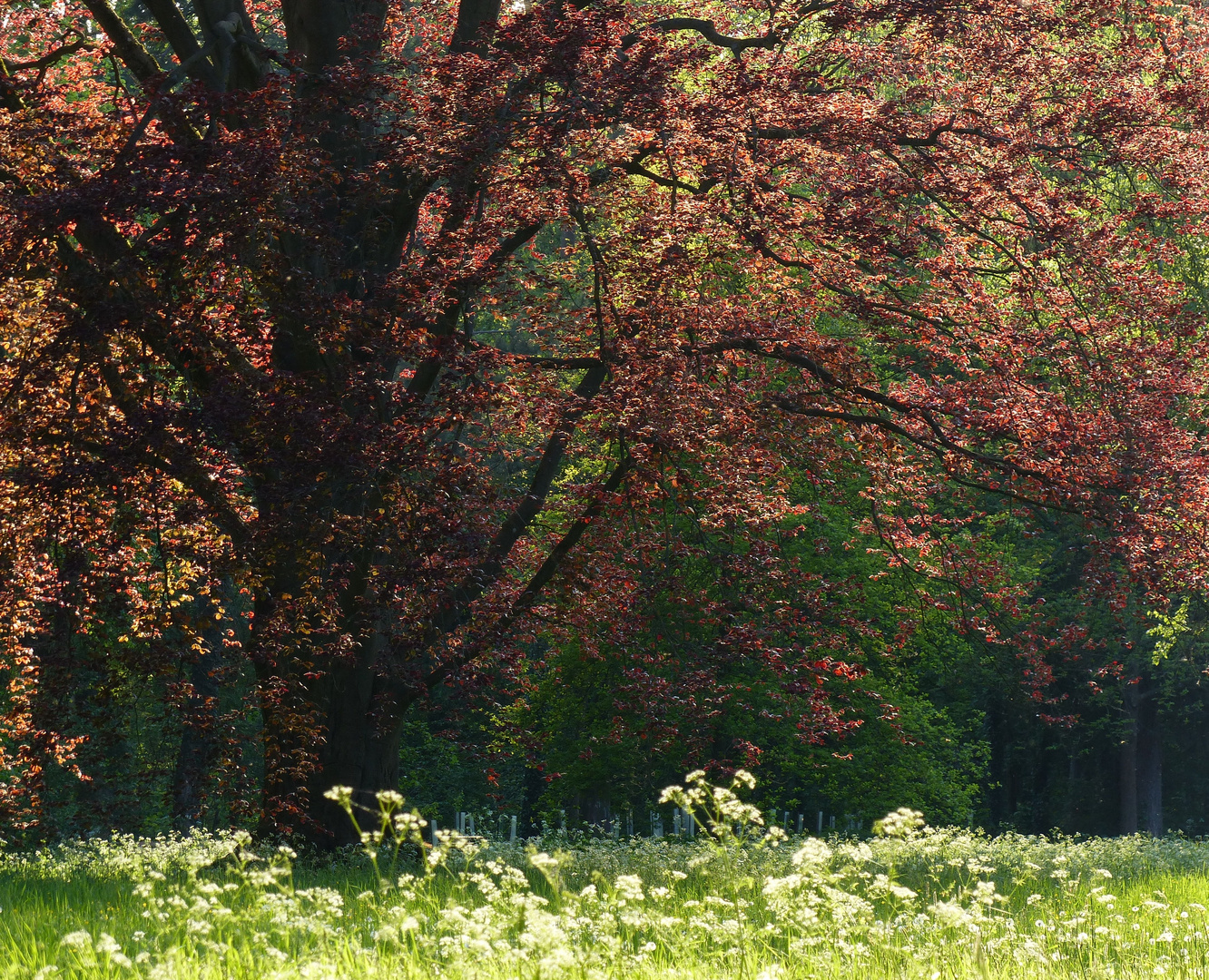 Frühling