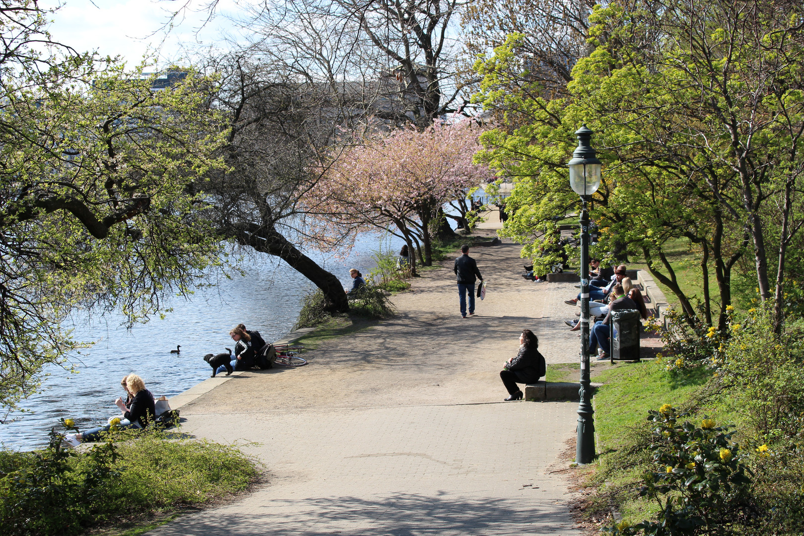 Frühling