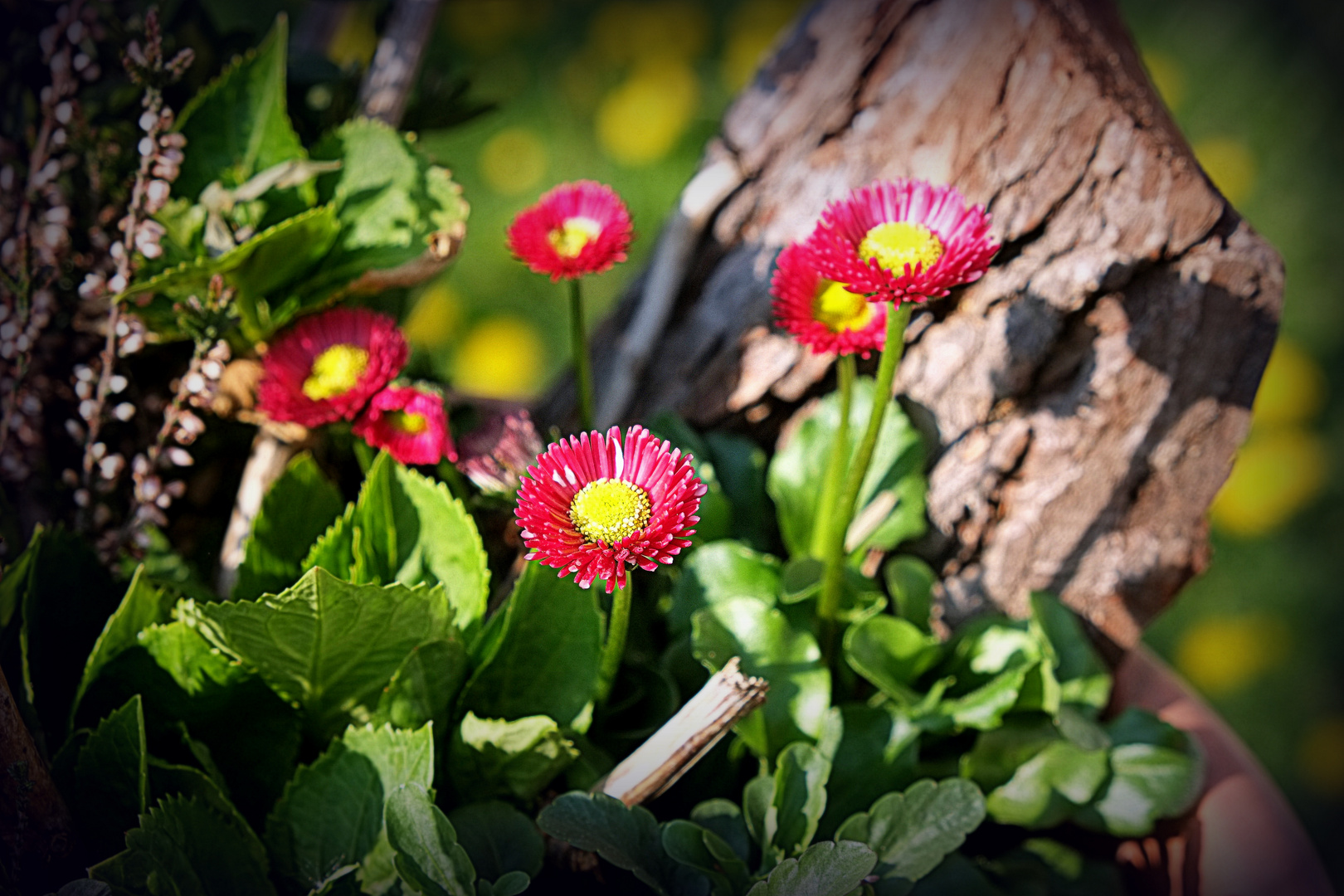 Frühling