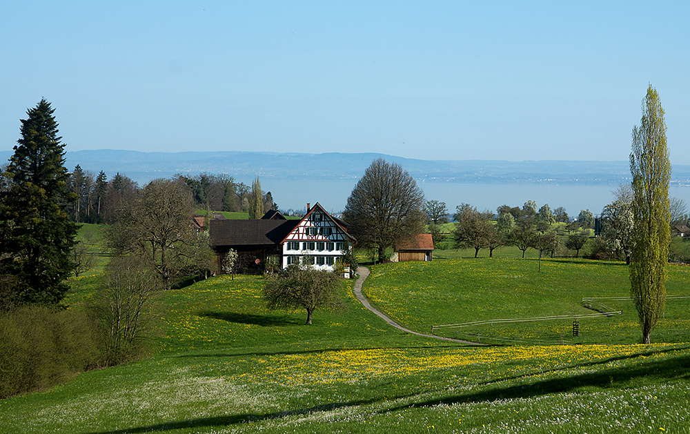 Frühling