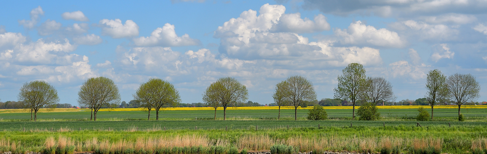 Frühling