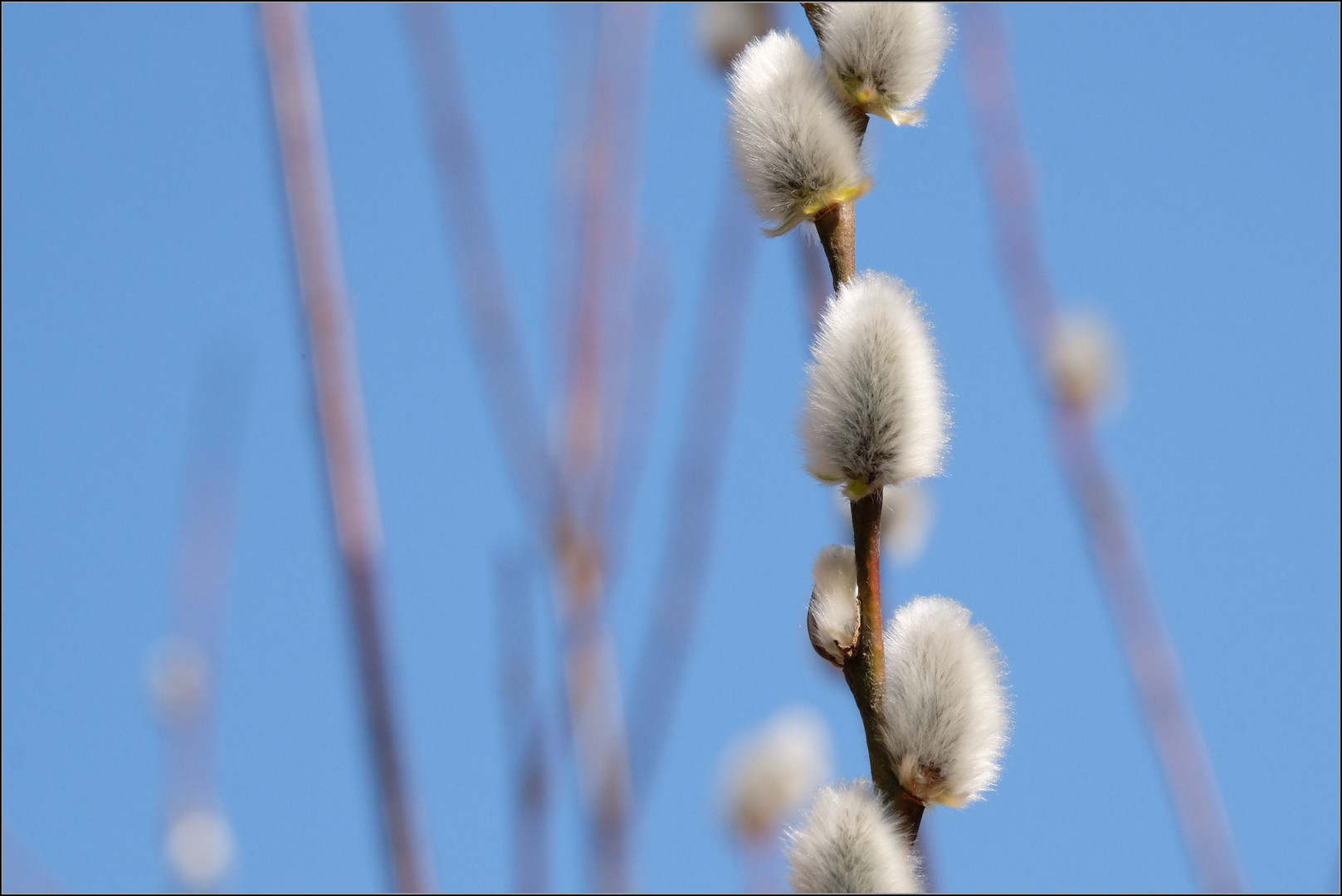 Frühling...