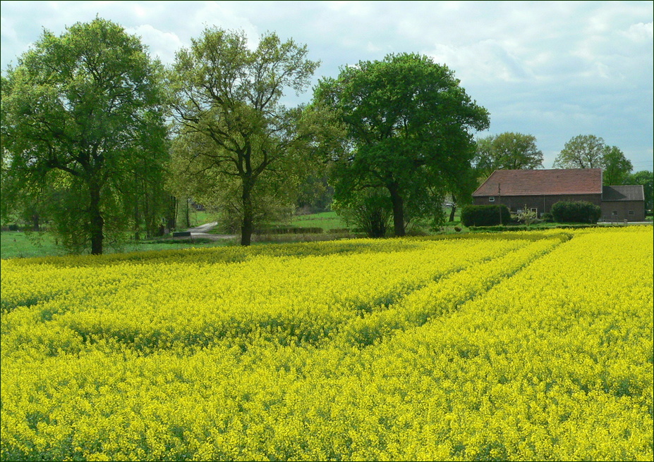 FRÜHLING