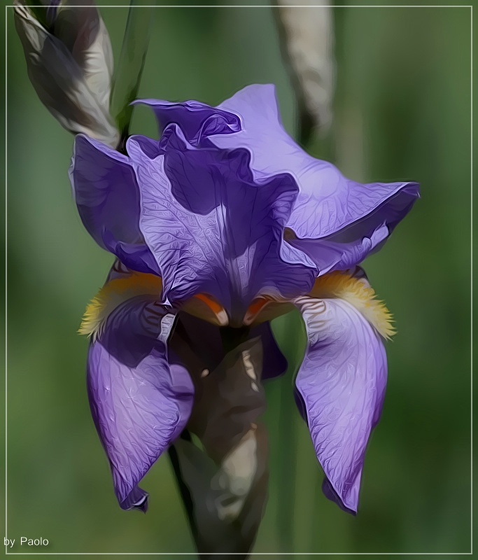 Frühling