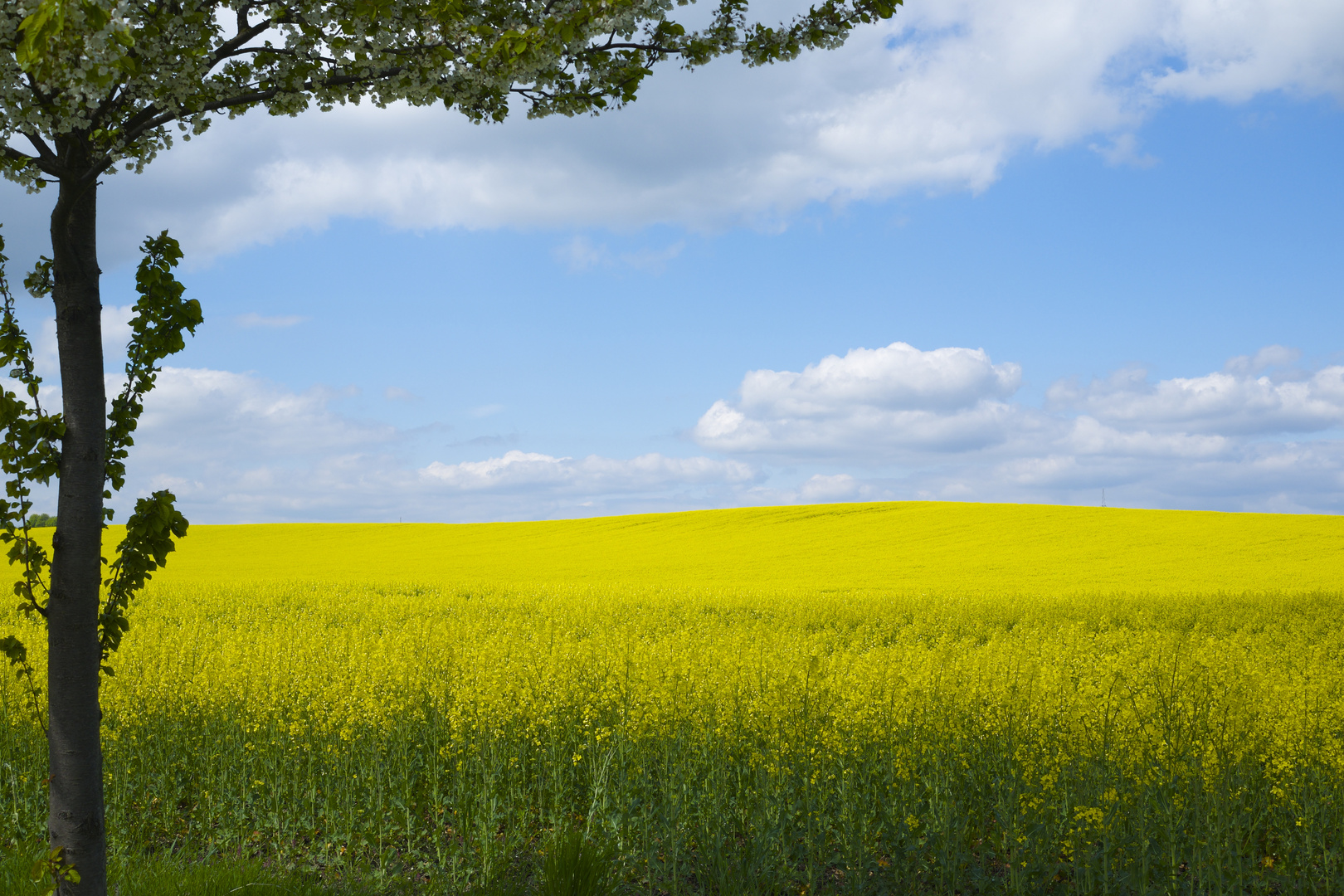 Frühling