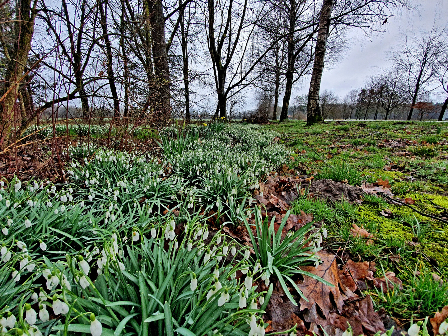 Frühling