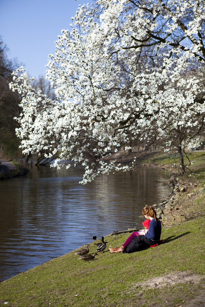 Frühling