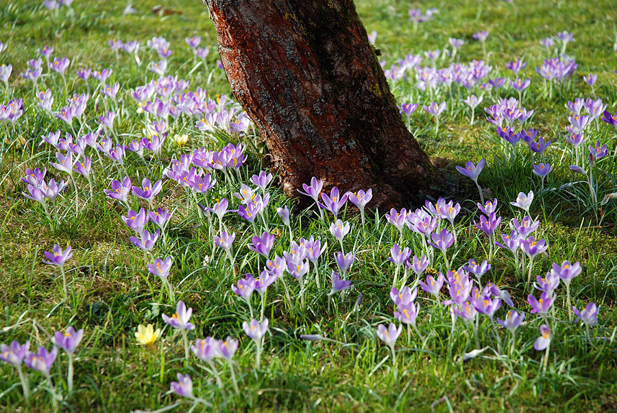 Frühling?