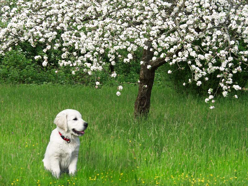 Frühling