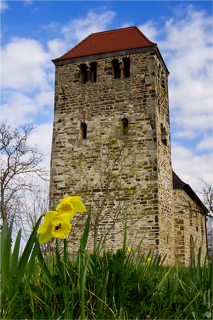  Frühling