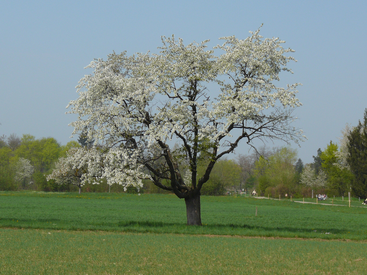 Frühling