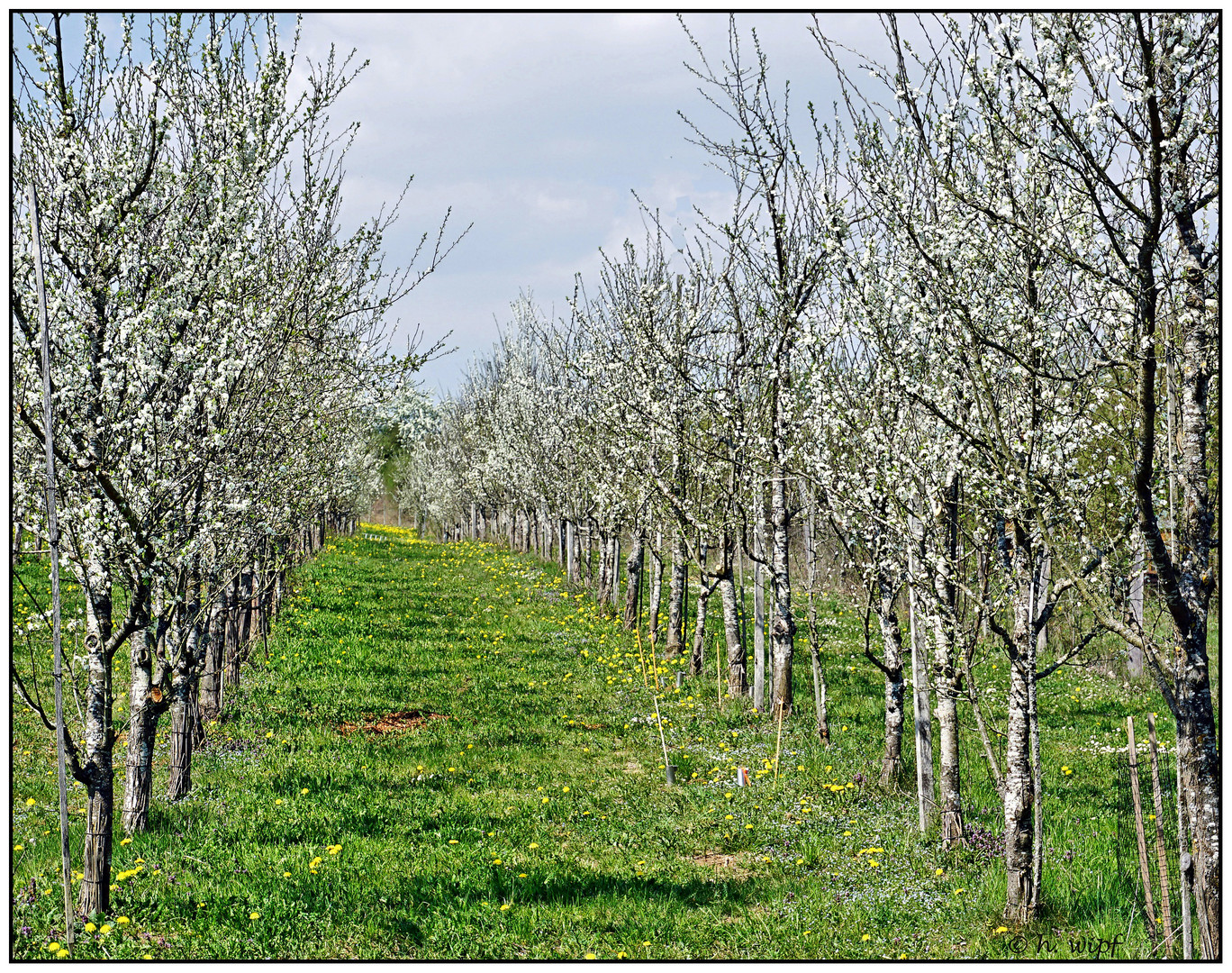 Frühling