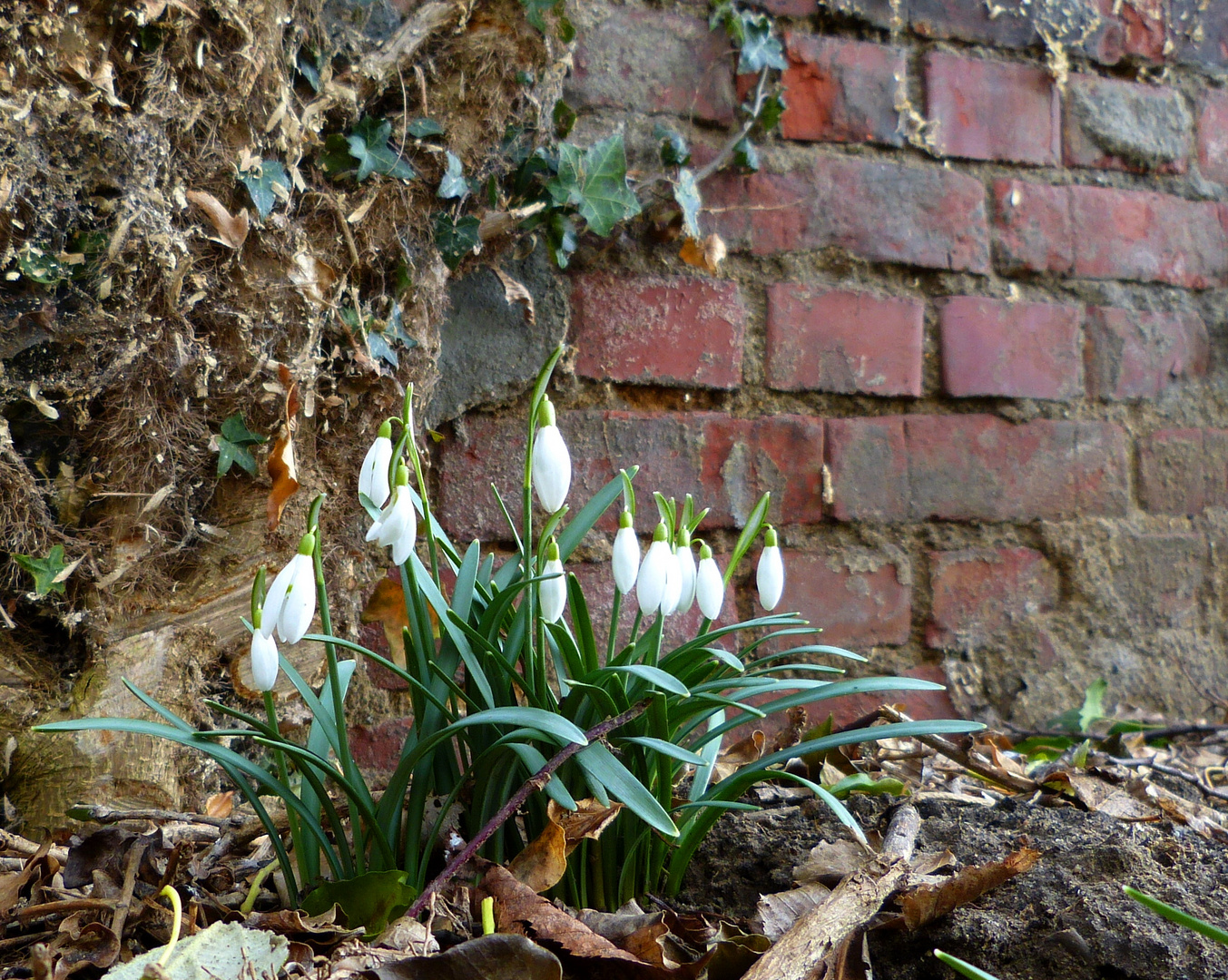 Frühling