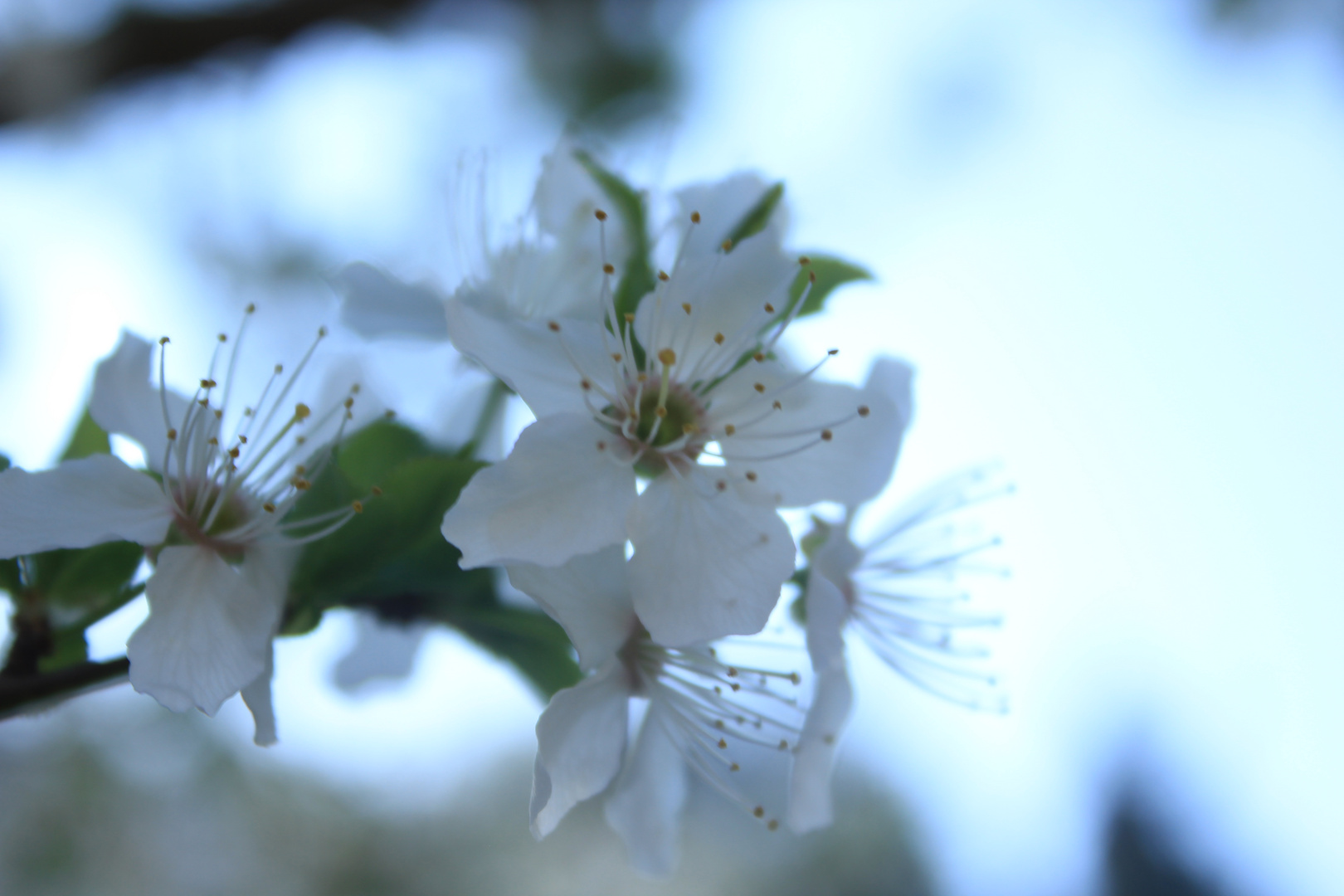 Frühling 