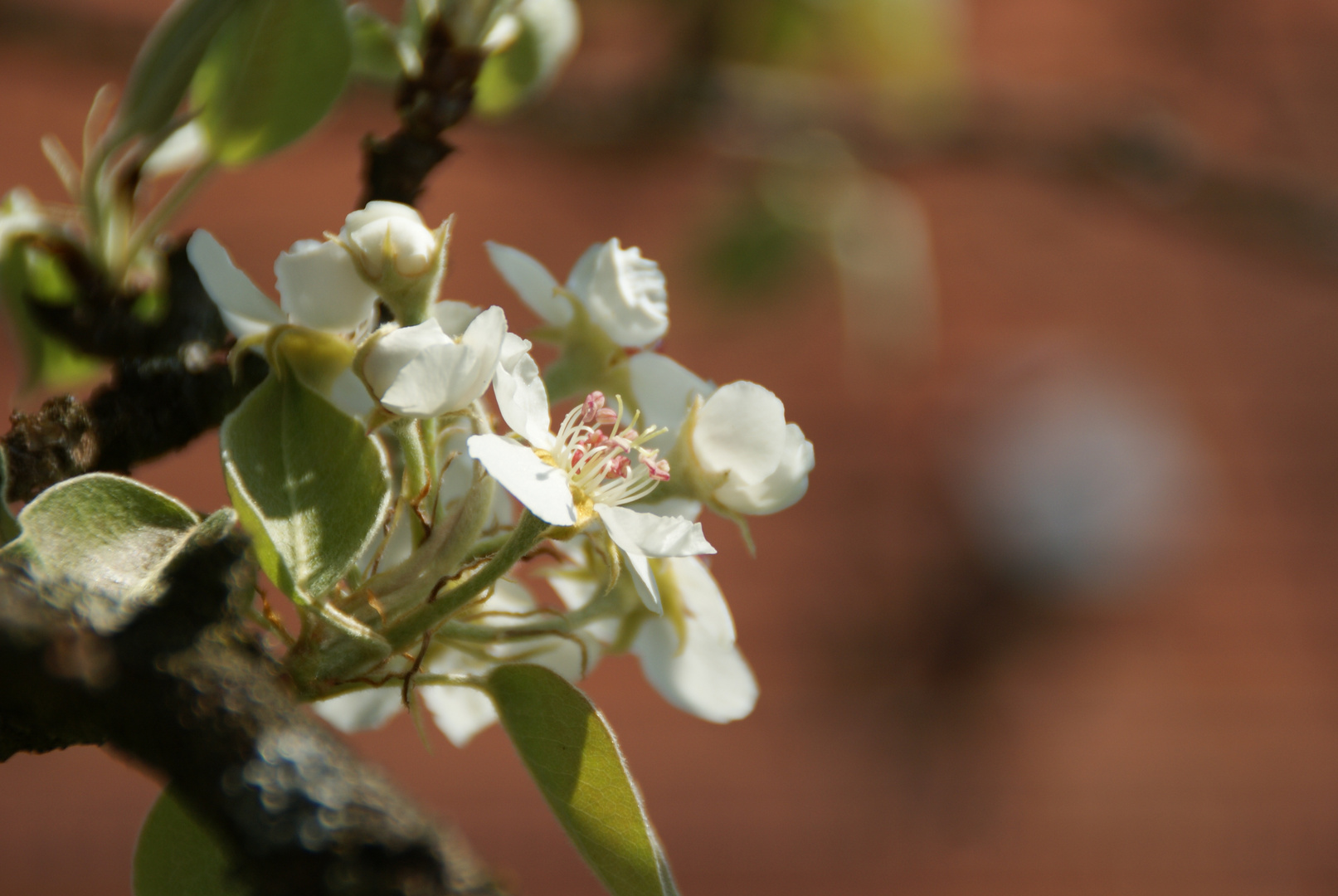 Frühling