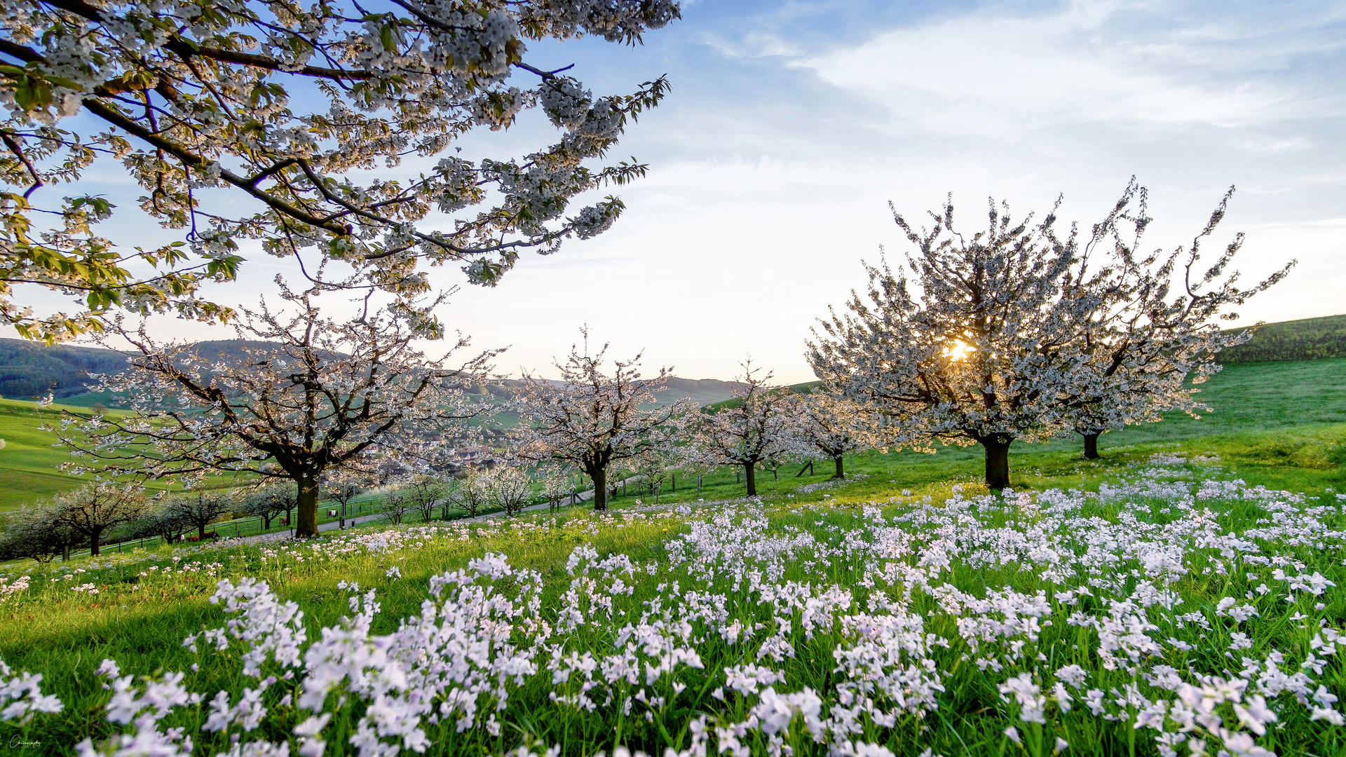 Frühling Foto & Bild jahreszeiten, frühling, himmel Bilder auf