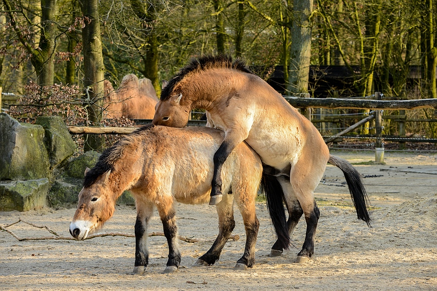 Frühling