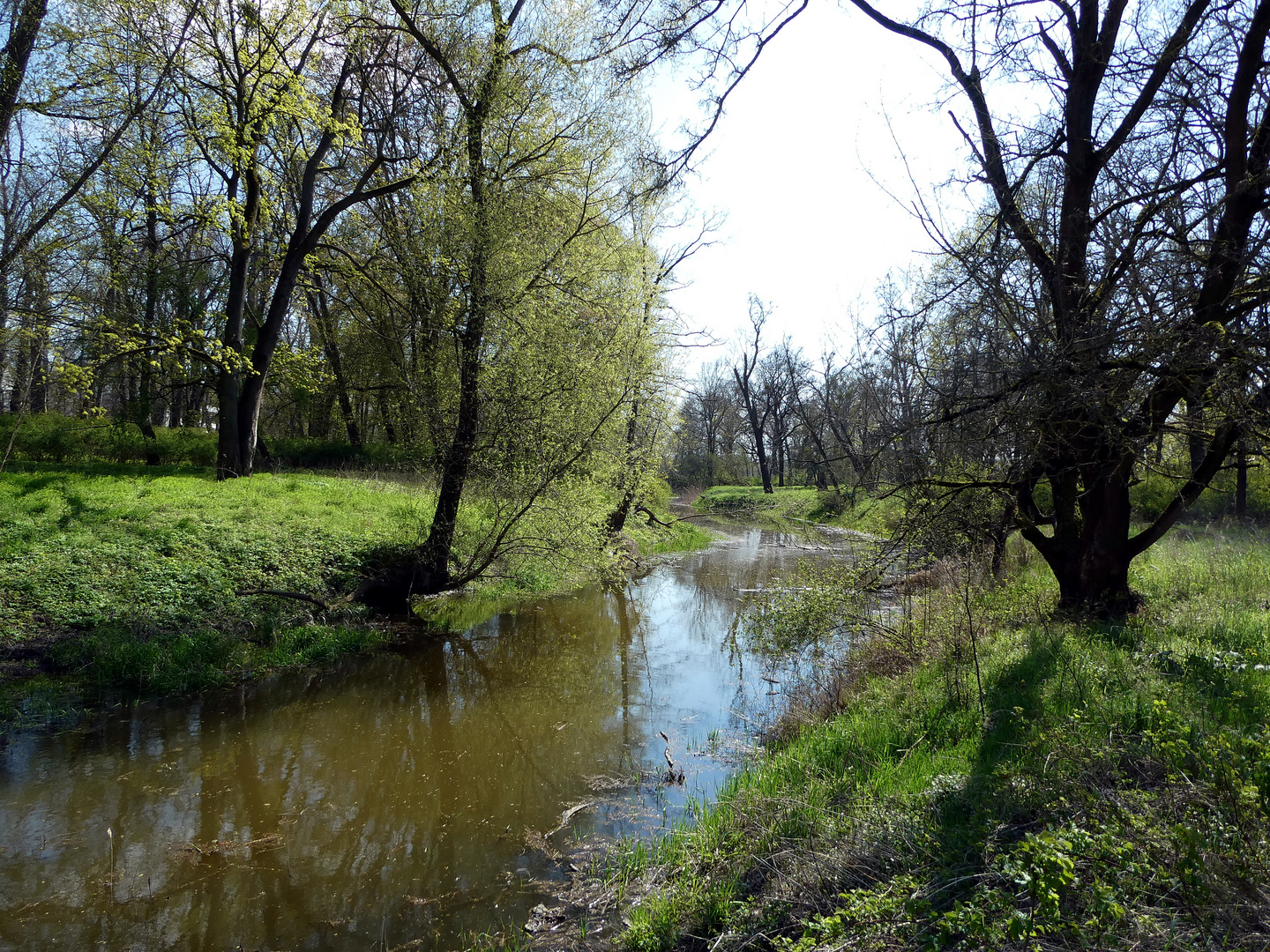 Frühling