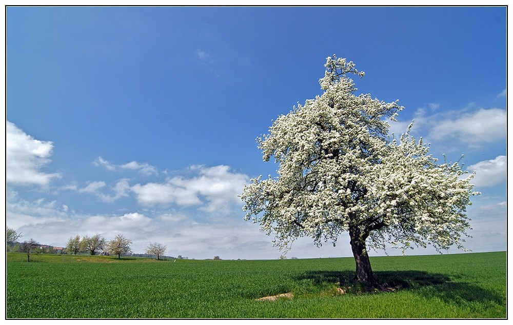 Frühling