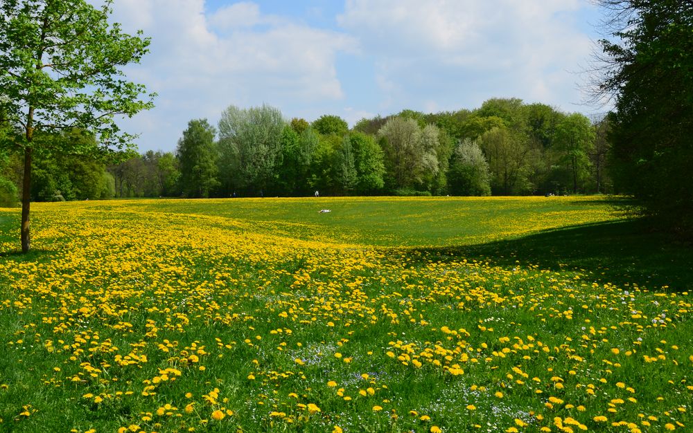 Frühling (4) in der Hirschau/Englischer Garten, München