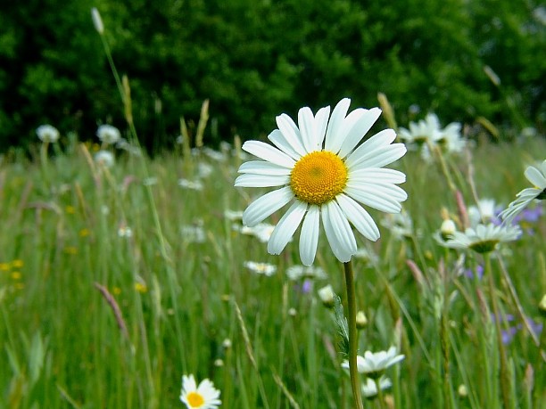 Frühling