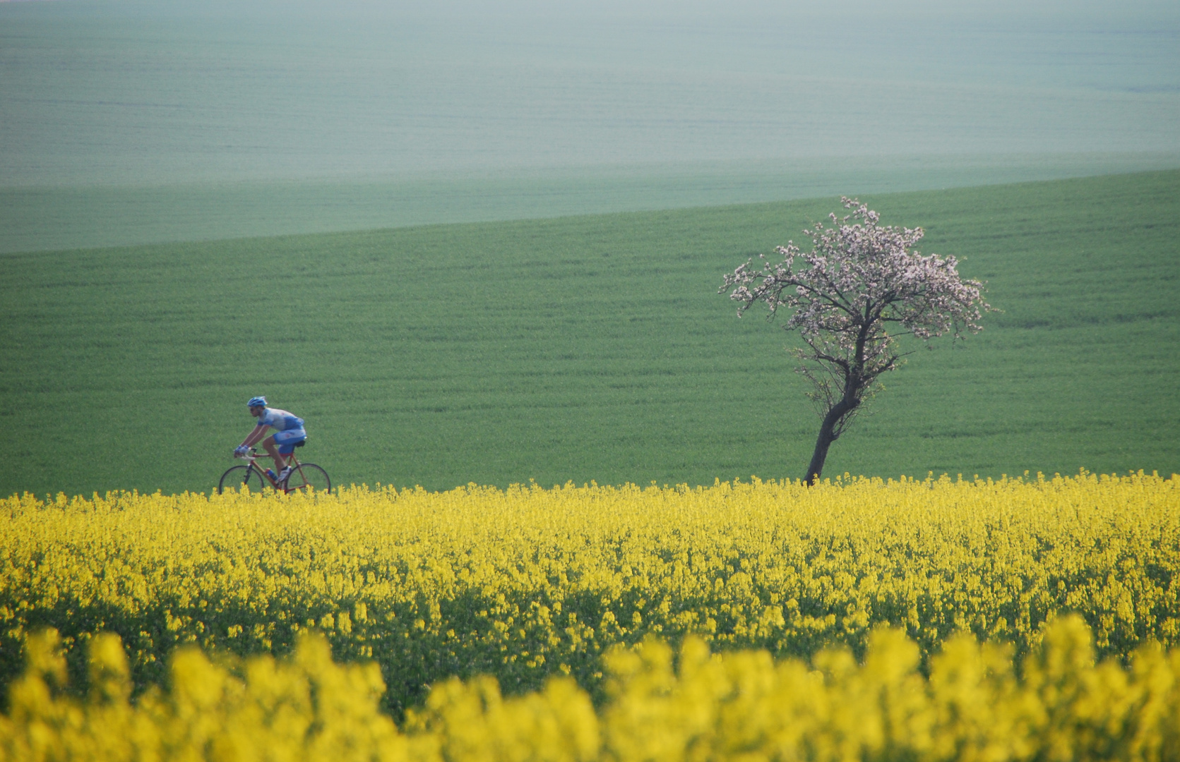 Frühling