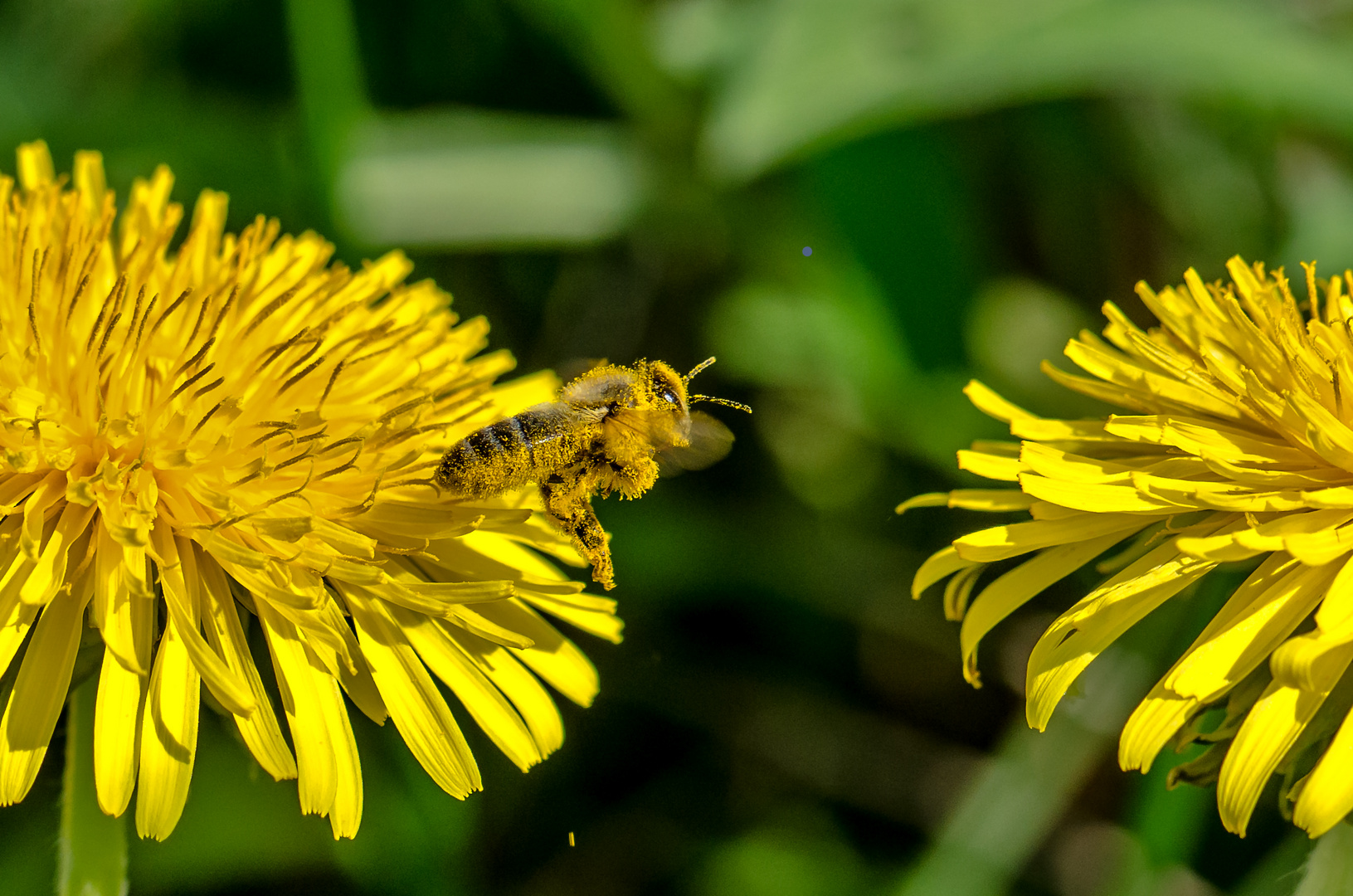 Frühling