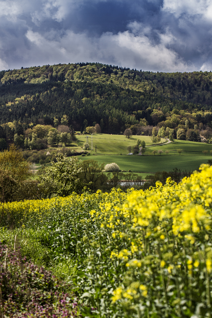 frühling