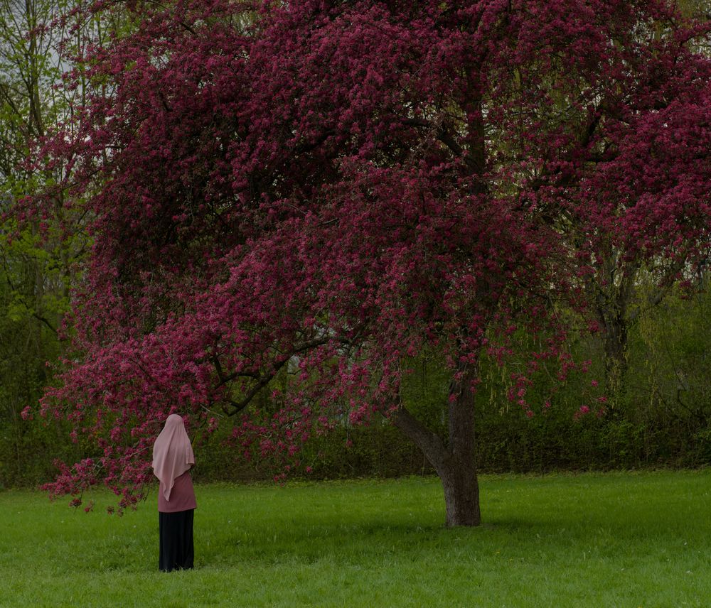 Frühling