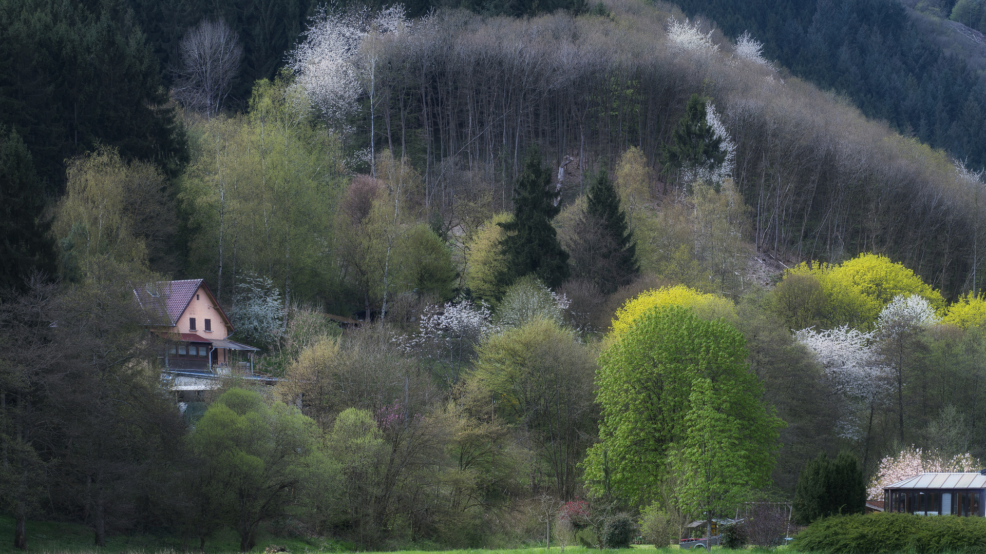 Frühling