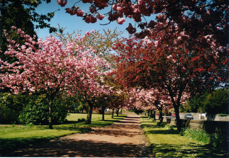 Frühling