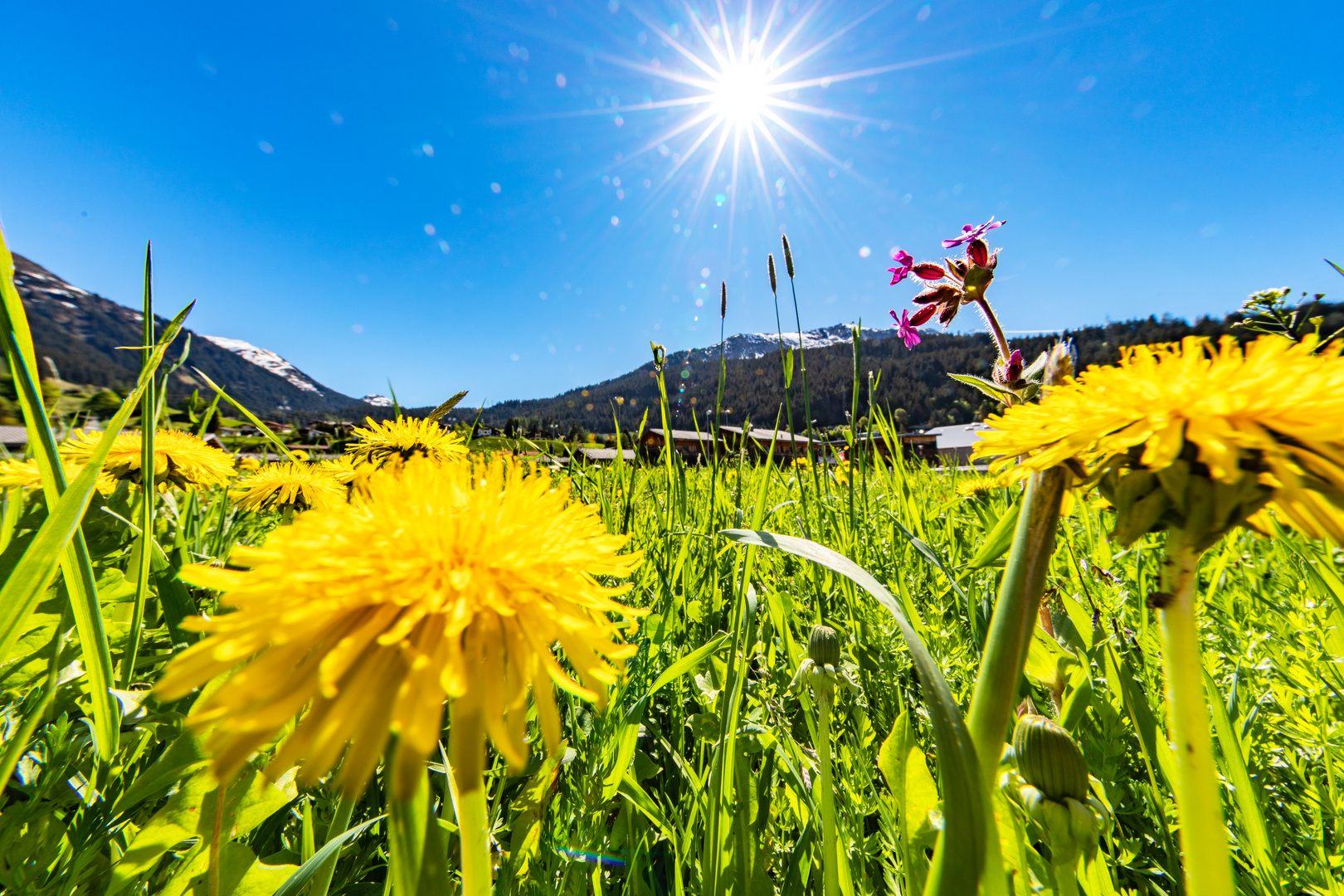 Frühling