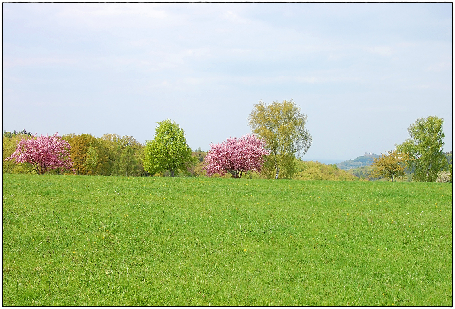 Frühling