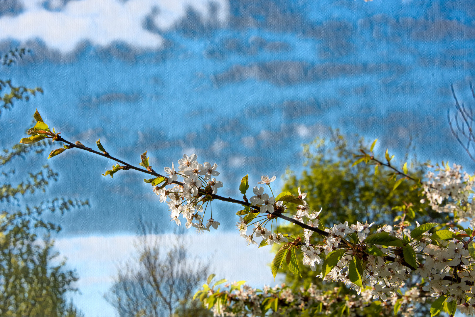 Frühling