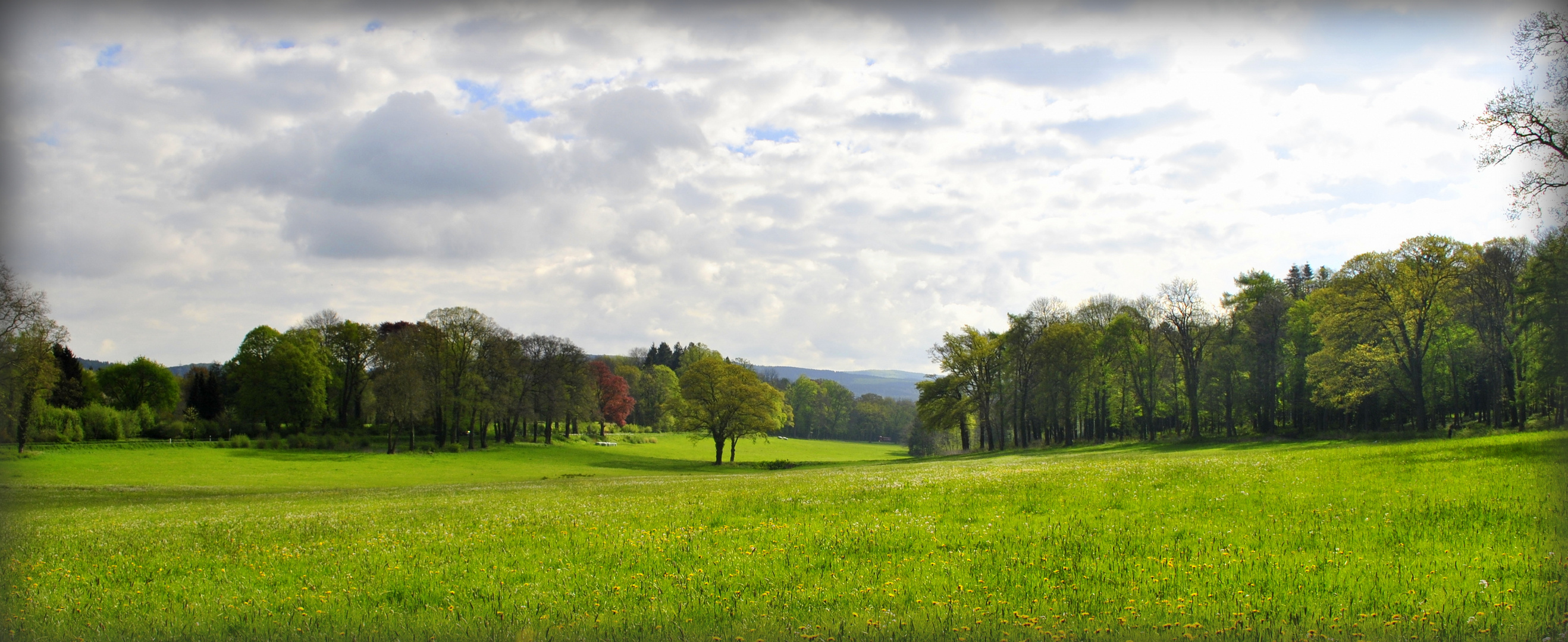 Frühling