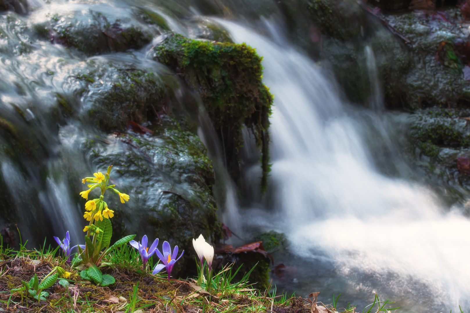 Frühling