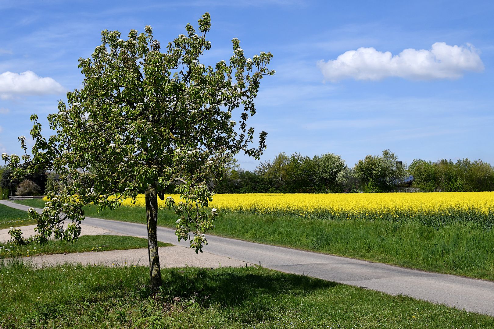 FRÜHLING!