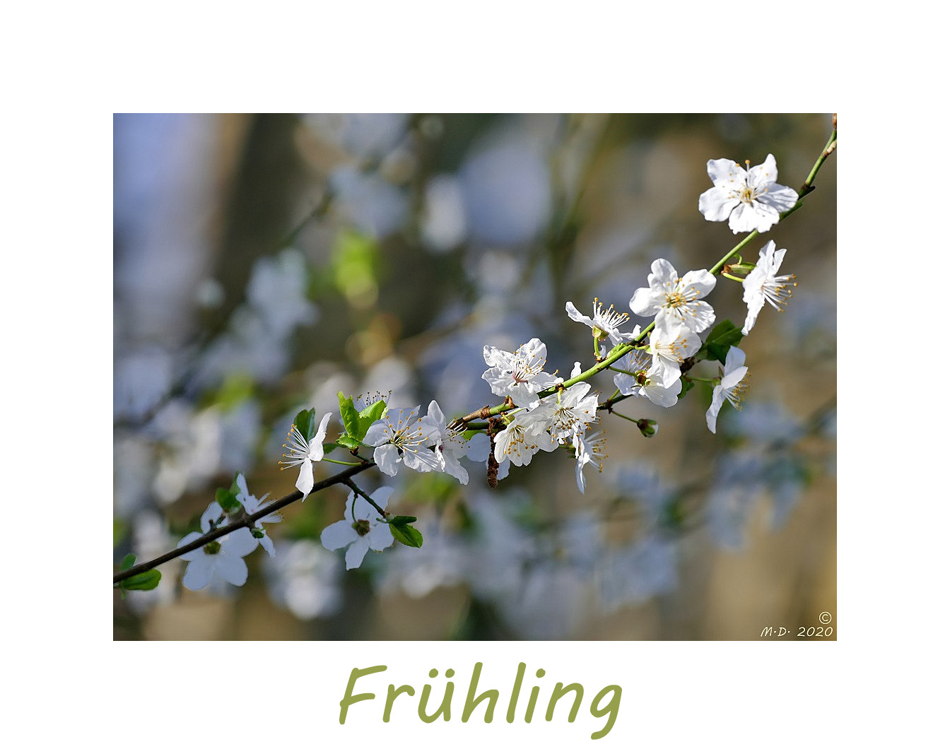 * Frühling *