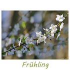 * Frühling *