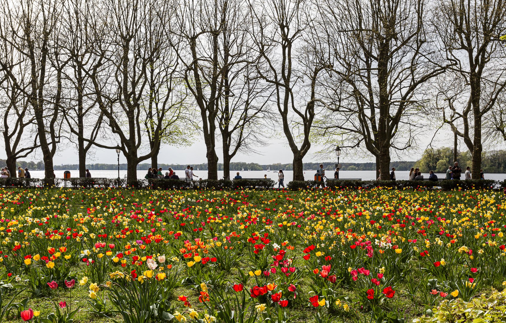 Frühling