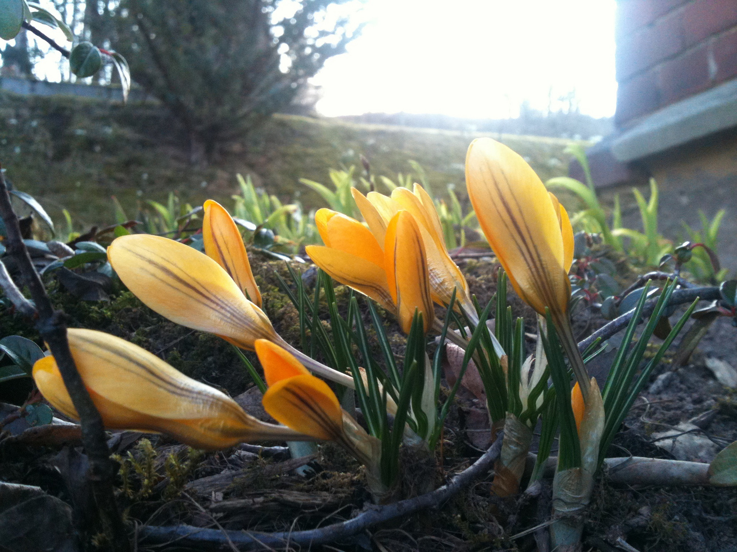 Frühling