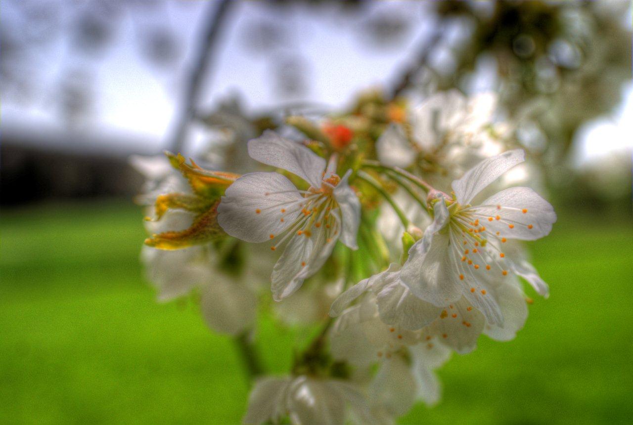 Frühling