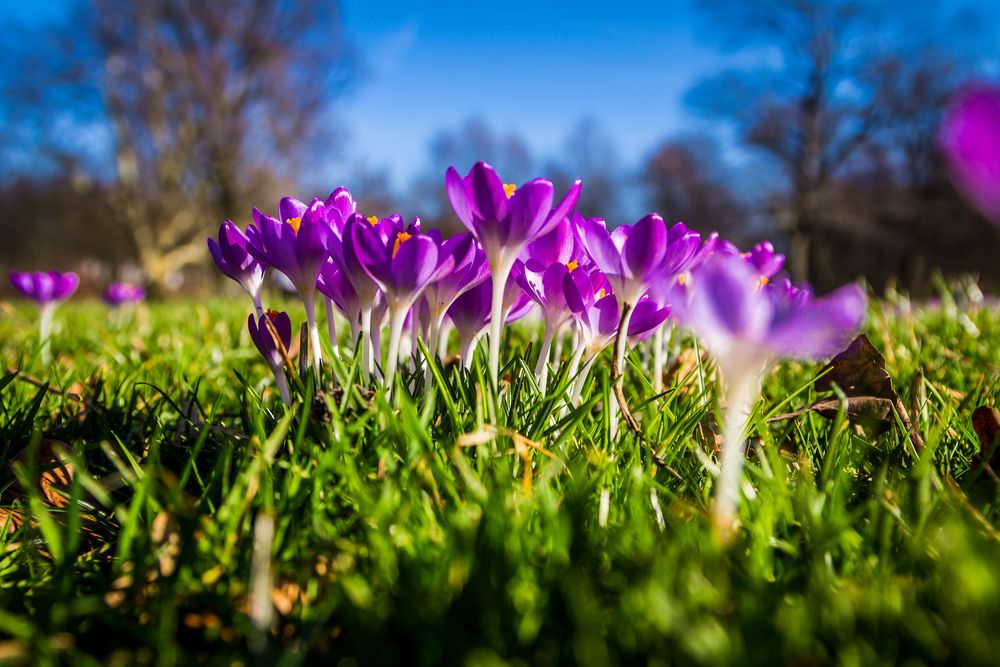 Frühling?