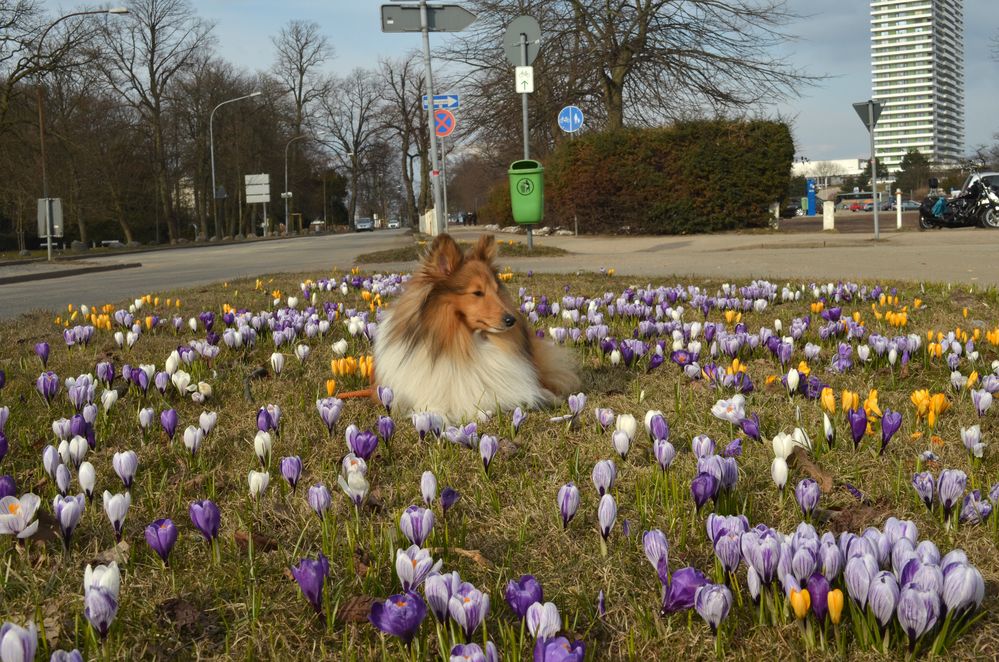 Frühling?