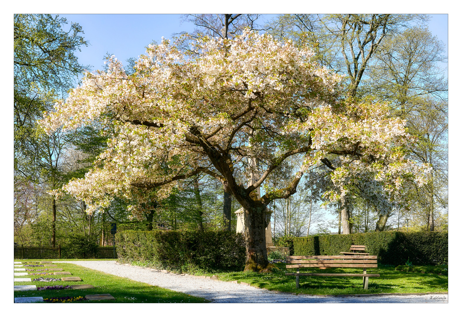 Frühling...