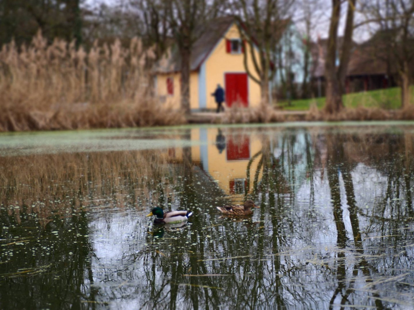 Frühling