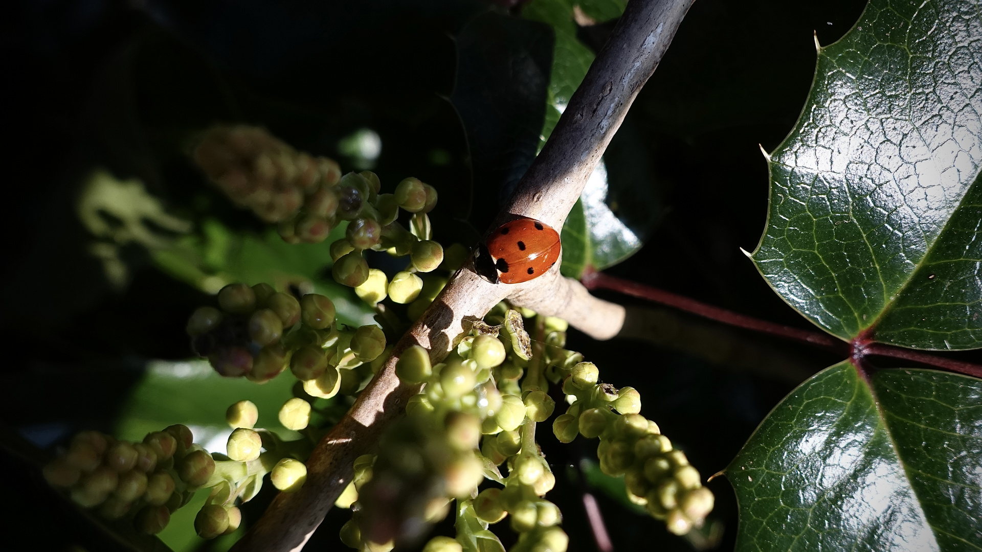 Frühling